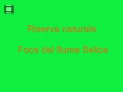 RISERVA FIUME BELICE